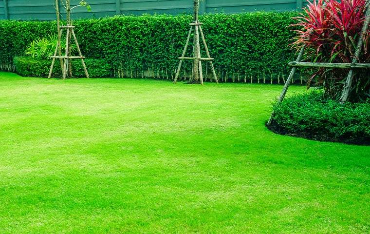 Green Lawn And Landscaping 2